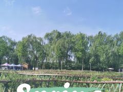 -廊坊市自然公园