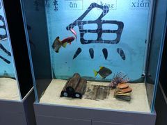 -欢乐海岸海洋奇梦馆