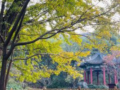 -香山公园