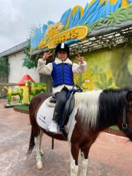 -宝燕乐园(闵行旗舰店)