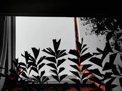 -赤坎老街