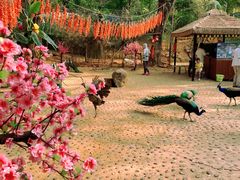 -西双版纳勐泐文化旅游区