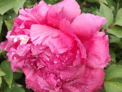 -海底捞火锅(牡丹园店)