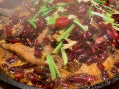 -老板恋上鱼(印象城店)