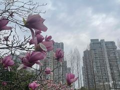 -白塘生态植物园