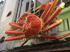 -蟹道乐(道顿堀本店)