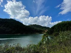 -武陵山森林公园