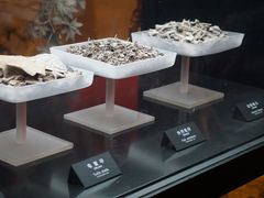 -河姆渡遗址博物馆