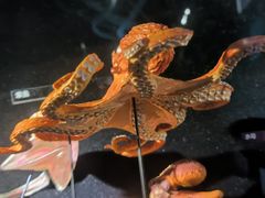 -同济大学四平路校区深海探索馆