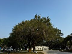 -南沙蒲洲花园