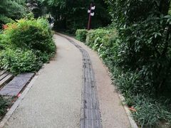 -成都市活水公园