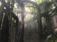 -青青世界