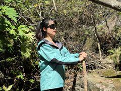 -峡谷浮石林景区