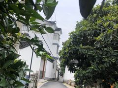 -雨花胜境