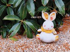 -济南南郊宾馆