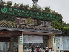 -中国大熊猫保护研究中心雅安碧峰峡基地