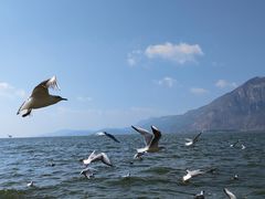 -滇池海埂公园