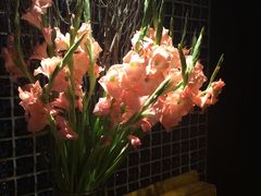 -丽晶大班SPA(大沽店)