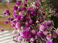 -春暖花开(西溪店)