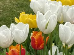 -上海植物园-4号门售票处