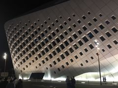 -南京眼步行桥
