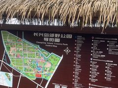 -上海长兴岛郊野公园