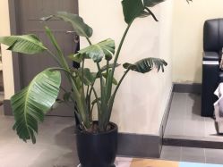 店内环境-蜜丝卡伦美甲美睫连锁