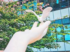 -中航城君尚购物中心