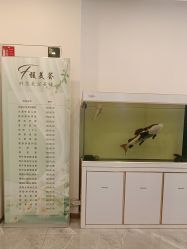 -FUMEIHUI·科技美肤·美体SPA