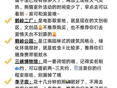 -烤匠麻辣烤鱼(观音桥大融城店)