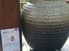 -天目湖涵田半山温泉