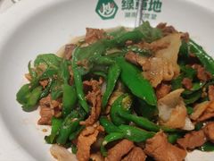 -绿草地·湘菜(芙蓉天街店)