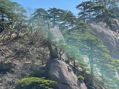 -黄山风景区
