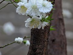-雍和宫(地铁站)