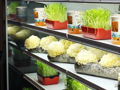 -番食园鲜食火锅(高新店)