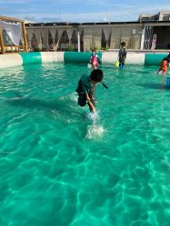 -小蜜蜂农场(凯德七宝购物广场店)