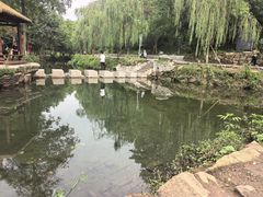 -重庆彩云湖湿地公园
