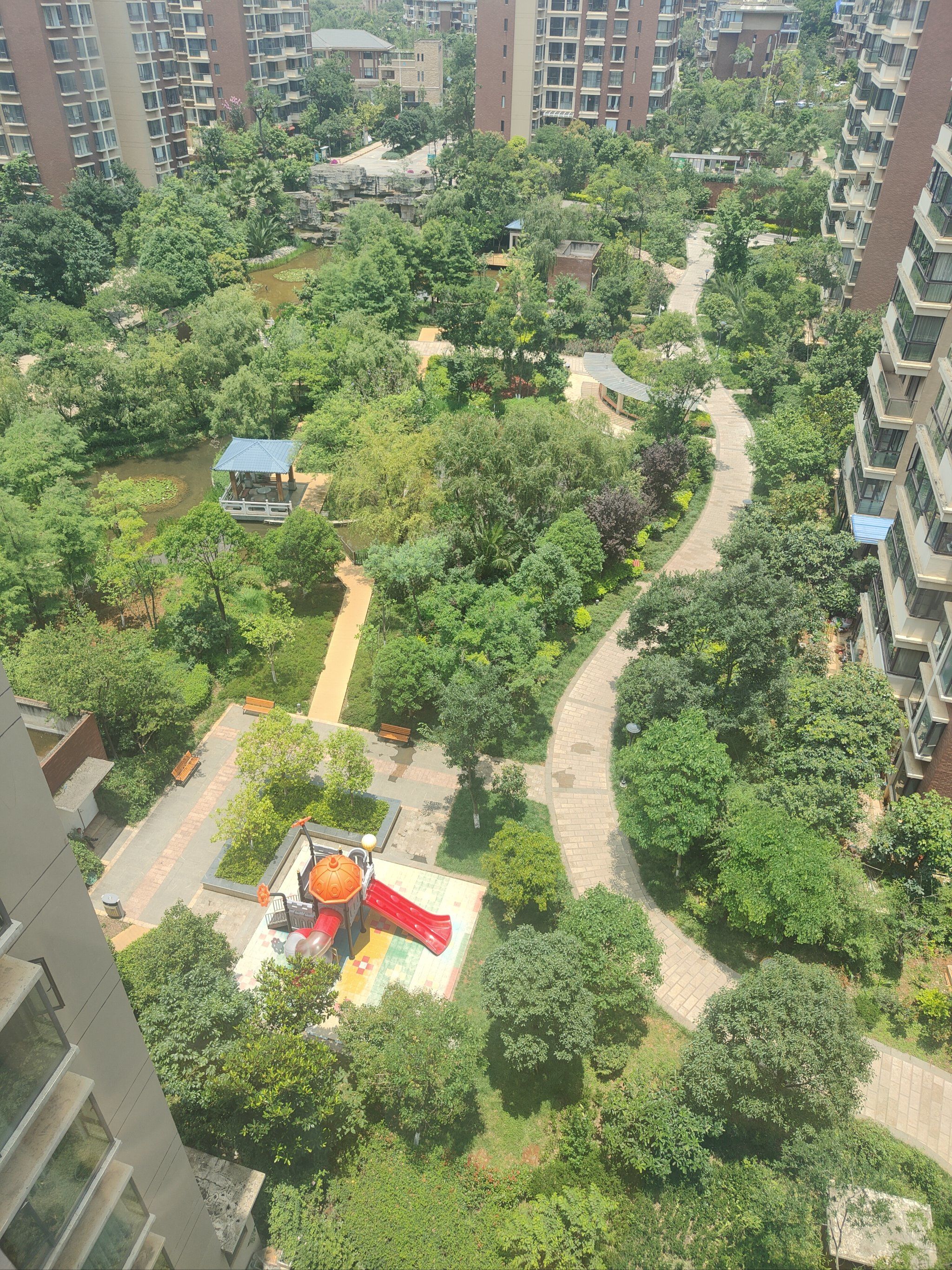 城景中的绿意盎然