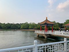 -长春市南湖公园