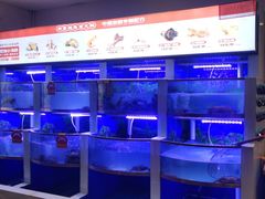 -七欣天香辣蟹火锅(上海奉贤杭州湾生活广场店)