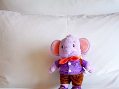 -青岛富力艾美酒店