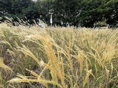 -怡海公园(桂城街道)