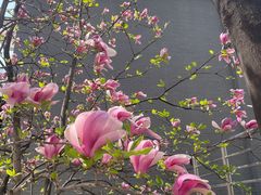 -北京航空航天大学-图书馆