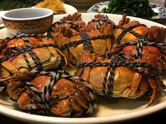 -呼吸森林·生态农庄农家乐私房菜