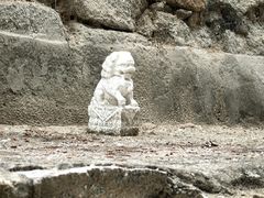 -白水寺森林公园