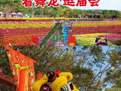 -丹樱生态园