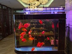 -岭南故事·影院足道SPA·石岐店