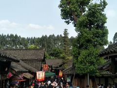 -秀丽东方