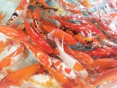 -昆明动物园