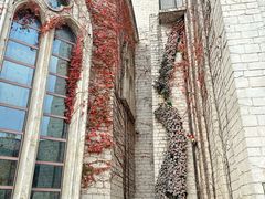 -华谊兄弟（长沙）电影小镇